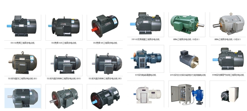 部分高效電機、特種電機產(chǎn)品